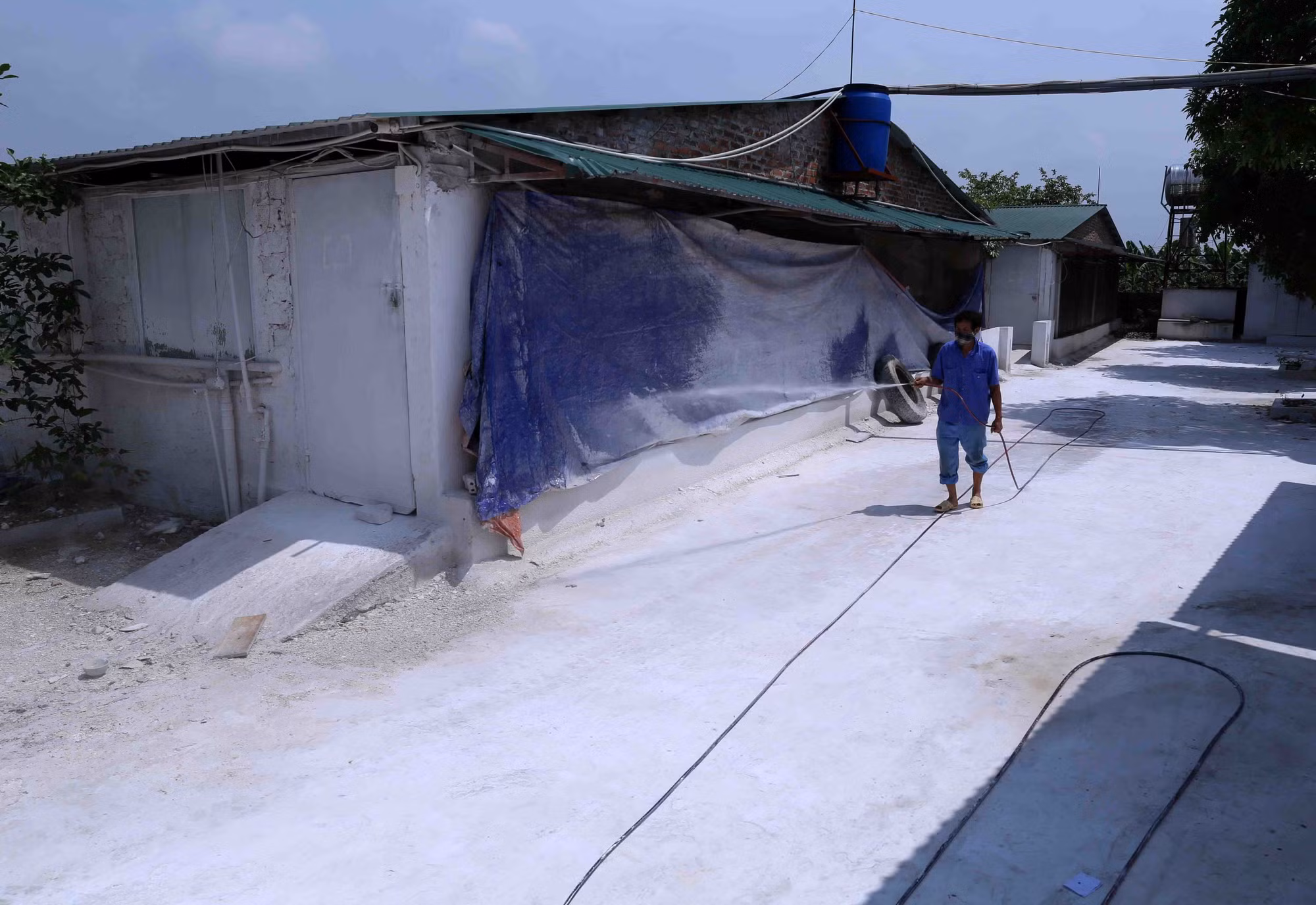 Ba Vì phát triển trang trại chăn nuôi lợn khép kín ảnh 8