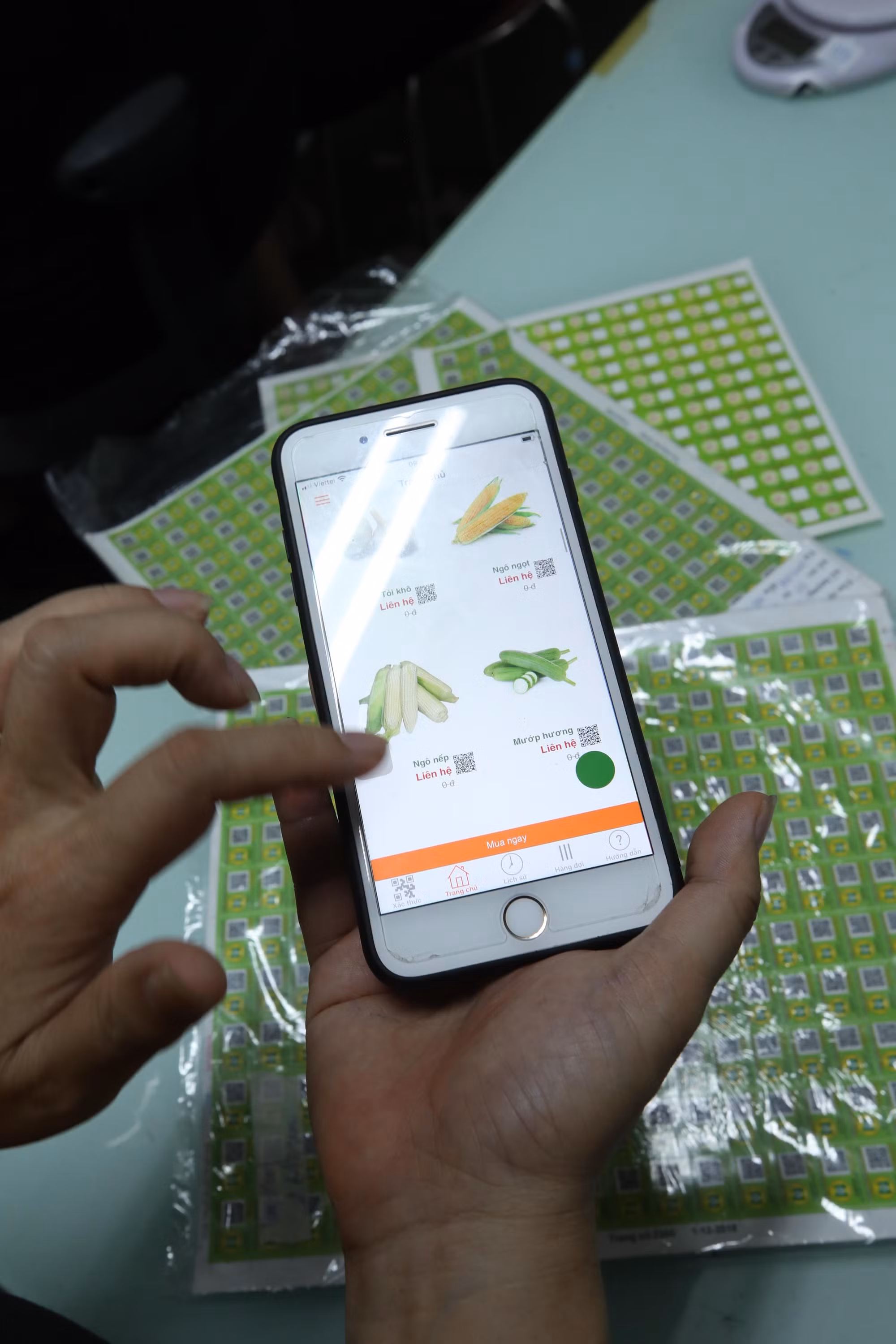 Hà Nội thúc đẩy truy xuất nguồn gốc nông sản ảnh 9