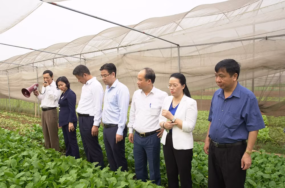 Hà Nội nắm bắt nguyện vọng của người dân, phát huy vai trò làm chủ của nhân dân trong xây dựng nông thôn mới ảnh 3