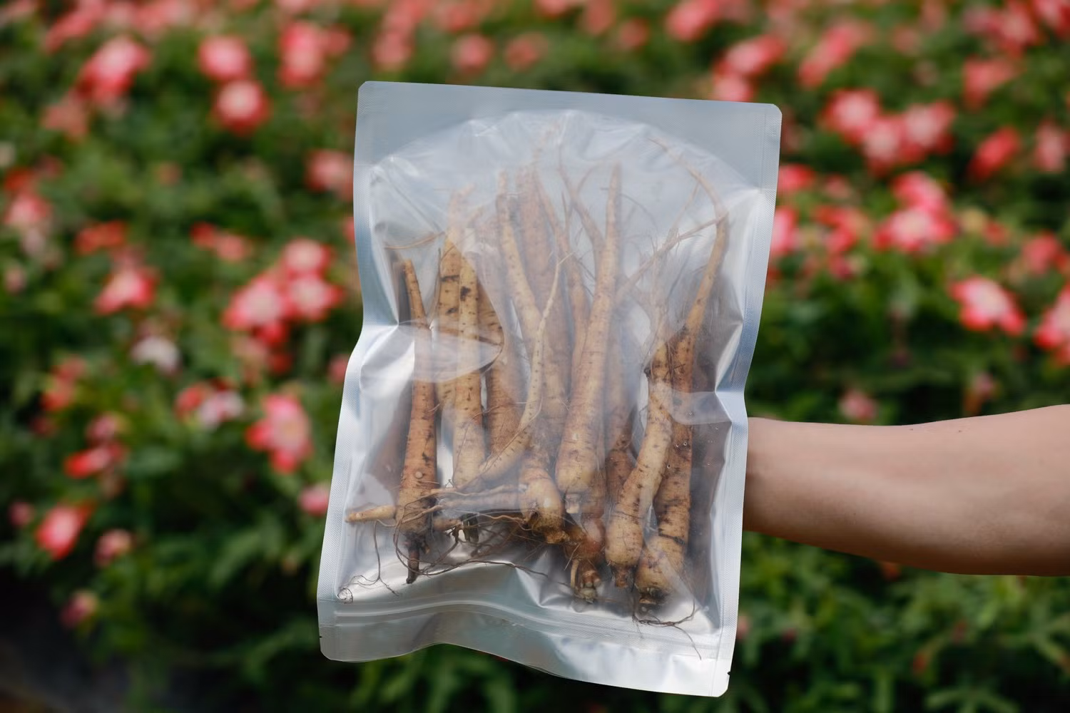 Thị xã Sơn Tây khai thác tiềm năng, lợi thế phát triển nông nghiệp ảnh 14 Thị xã Sơn Tây khai thác tiềm năng, lợi thế phát triển nông nghiệp ảnh 14