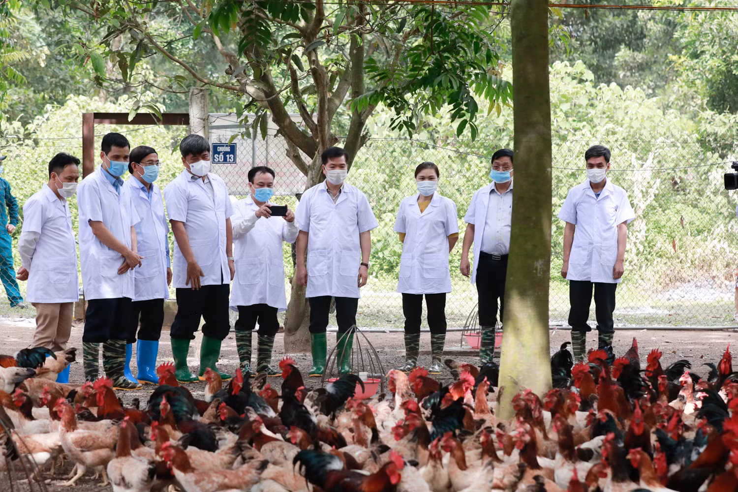 Hà Nội phấn đấu đến hết năm 2021 thu nhập người dân nông thôn đạt 60 triệu đồng/người/năm ảnh 5