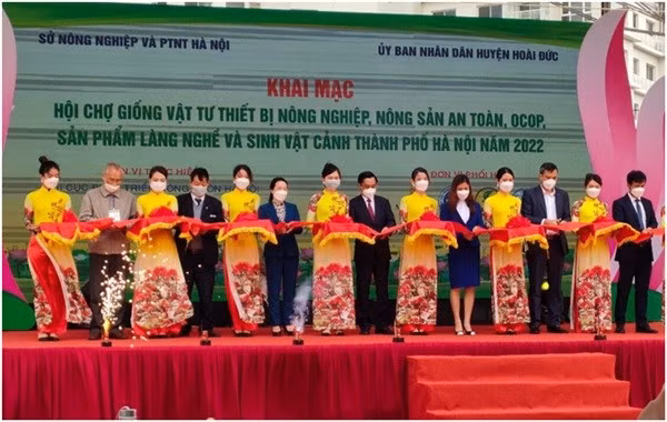 Hà Nội thúc đẩy quảng bá thương hiệu OCOP ảnh 1