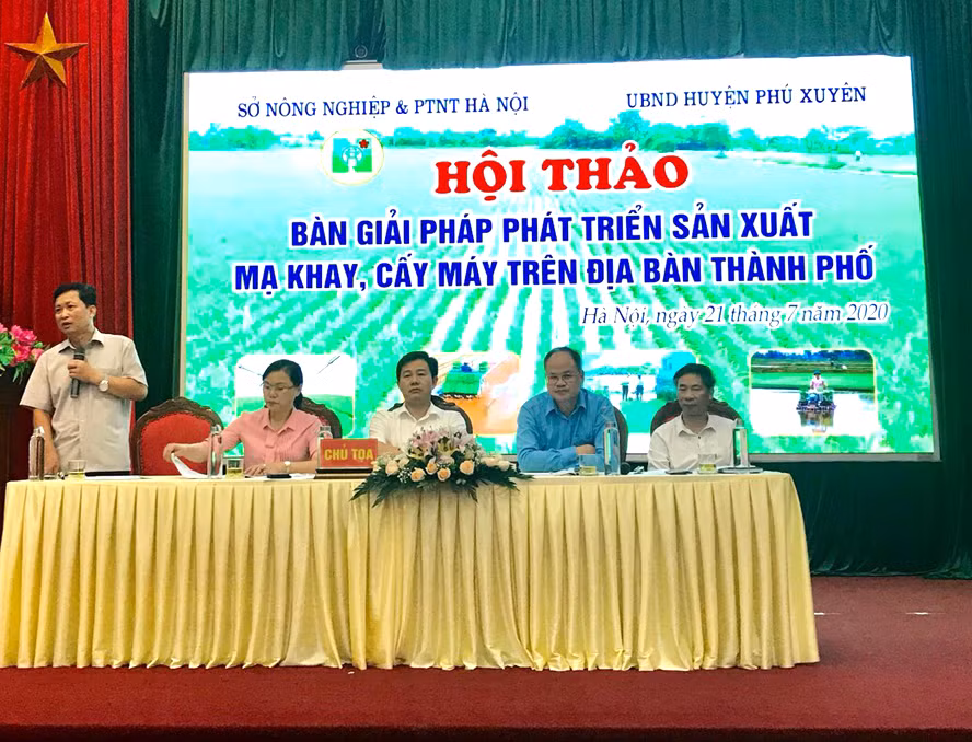 Hà Nội bàn giải pháp phát triển sản xuất mạ khay, cấy máy trên địa bàn thành phố ảnh 4