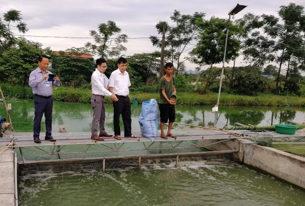 Liên Bạt - điểm sáng xã nông thôn mới nâng cao của Hà Nội ảnh 2