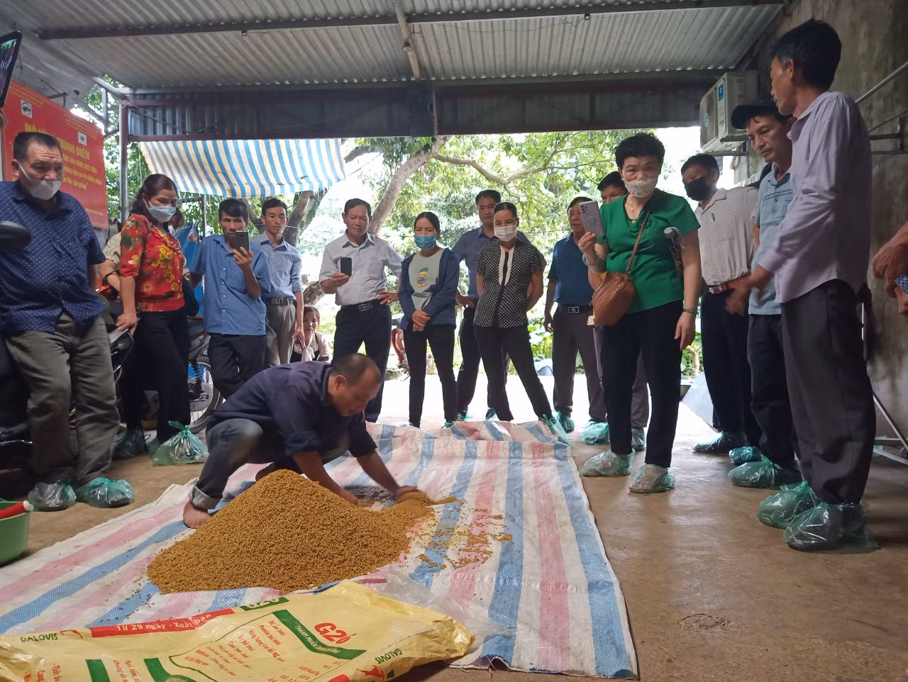 Tập huấn chăn nuôi gà thịt bản địa cho nông dân huyện Ba Vì ảnh 1