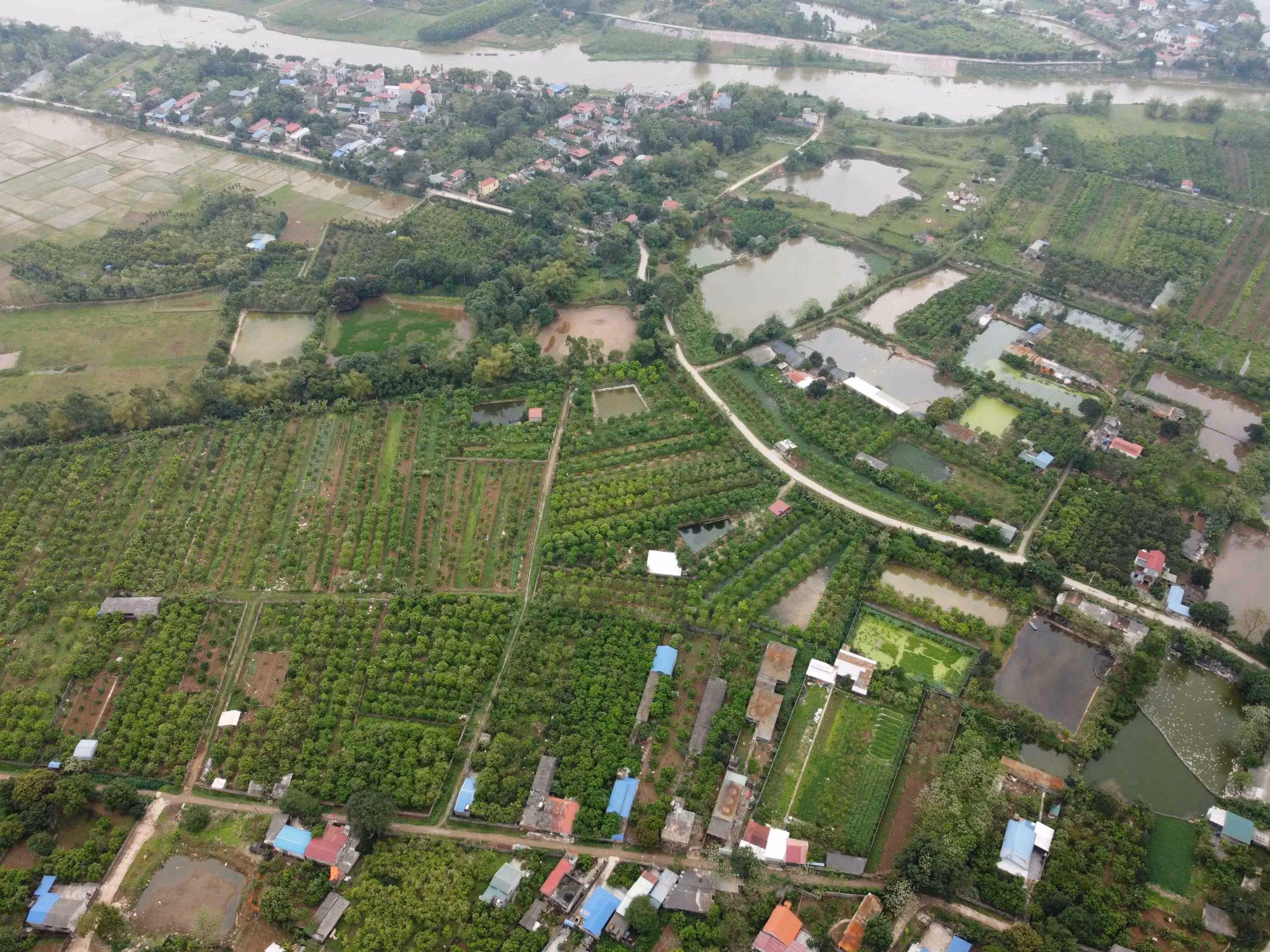 OCOP góp phần khẳng định vai trò của hợp tác xã nông nghiệp Hà Nội ảnh 6