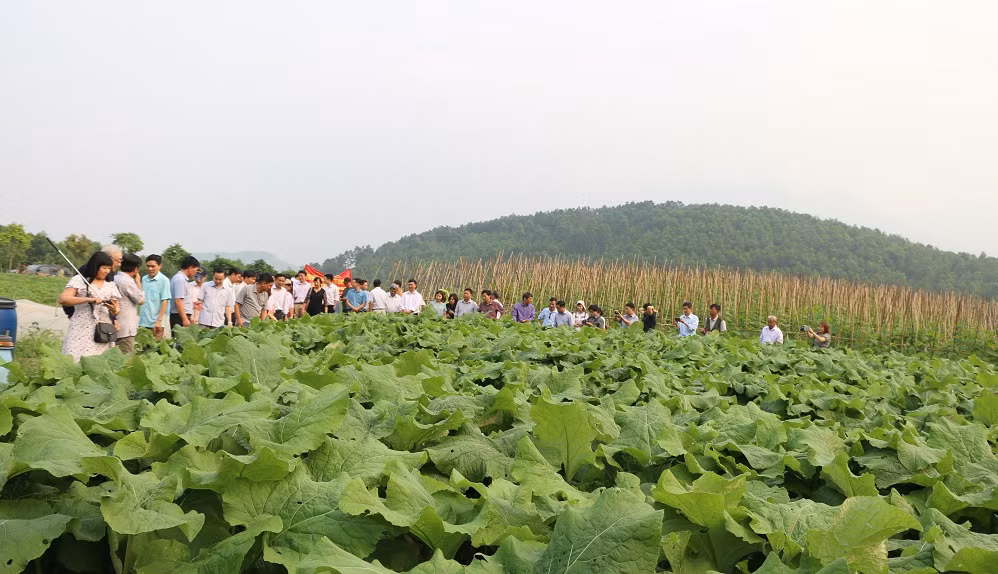 Hà Nội xây dựng nông thôn mới ở vùng dân tộc và miền núi ảnh 4