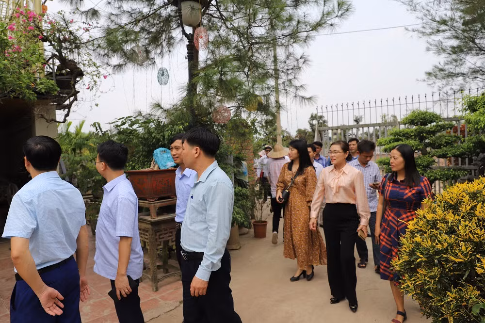 Hà Nội phát triển nông nghiệp sinh thái gắn với du lịch ảnh 1