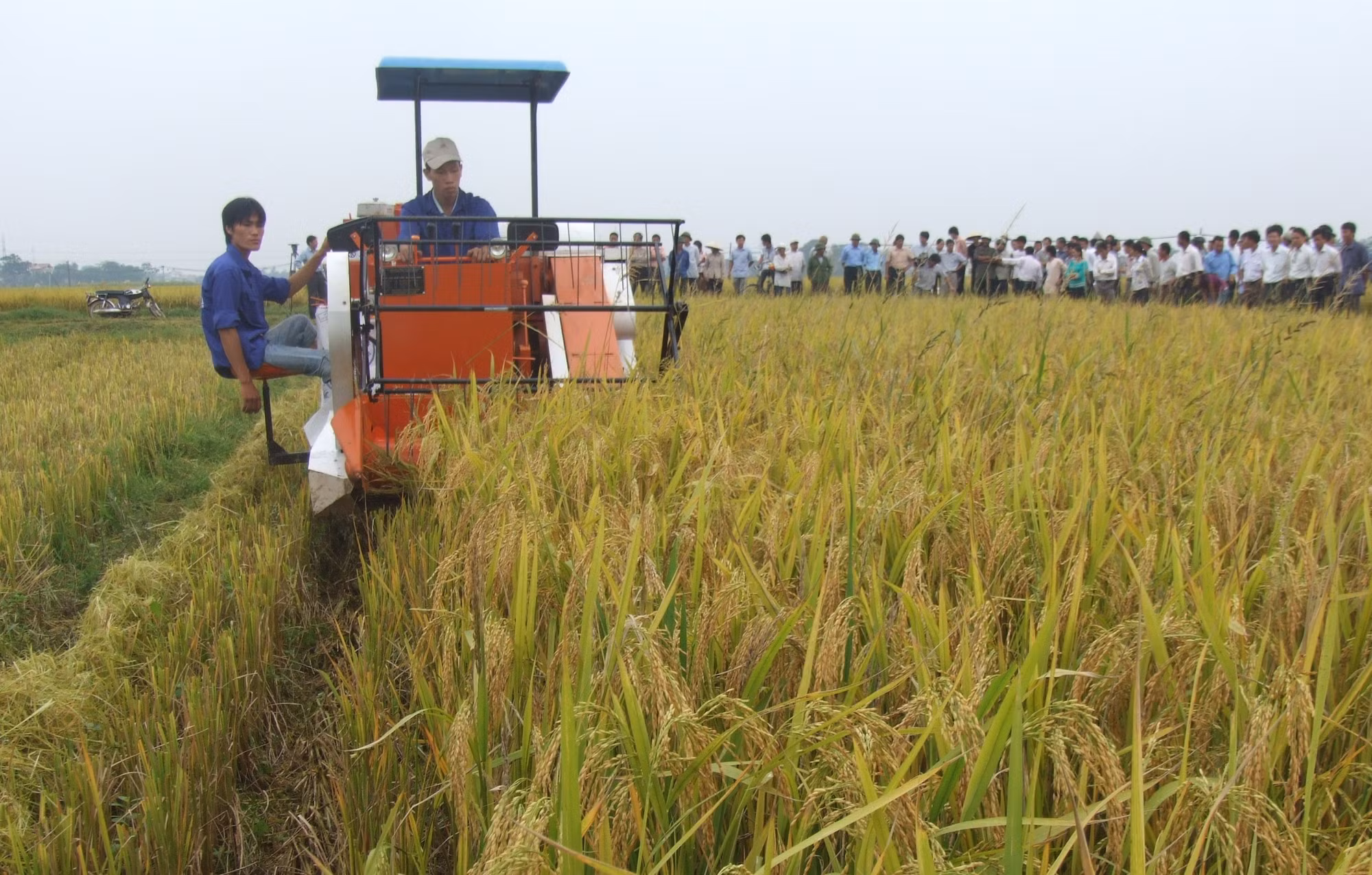 Vùng quê Chương Mỹ khởi sắc nhờ xây dựng nông thôn mới ảnh 3