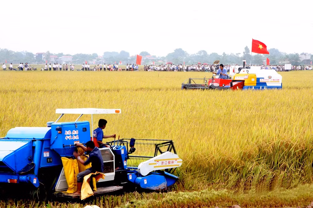 Hà Nội nắm bắt nguyện vọng của người dân, phát huy vai trò làm chủ của nhân dân trong xây dựng nông thôn mới ảnh 5