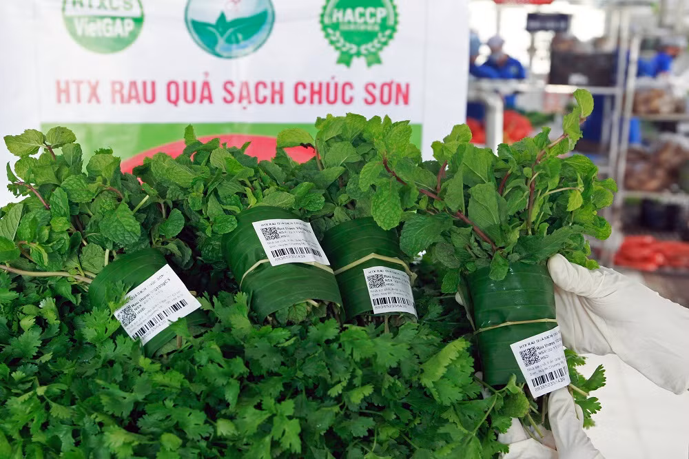 Rau quả sạch Chúc Sơn - sản phẩm OCOP của huyện Chương Mỹ ảnh 3
