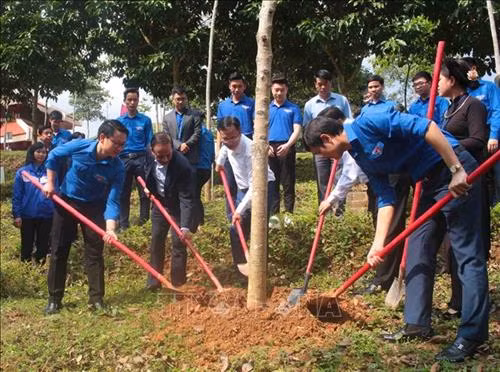 Phát động trồng 1.000 cây xanh tại Khu di tích Quốc gia đặc biệt Pác Bó. Ảnh: Chu Hiệu – TTXVN