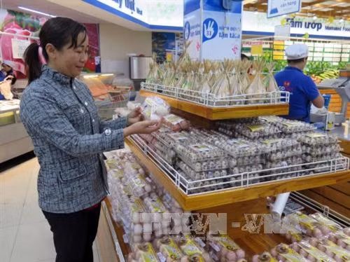 Sản phẩm trứng gà Văn Học ở siêu thị Co.opmart Tam Kỳ. Ảnh: Đỗ Trưởng- TTXVN