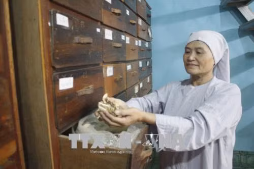 Sư cô Thích Nữ Minh Chánh trong Phòng khám y học cổ truyền do mình phụ trách đã khám, chữa bệnh cho hàng nghìn người nghèo trên địa bàn tỉnh Gia Lai. Ảnh: Hồng Điệp - TTXVN.