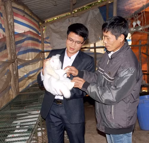 Anh Trần Sỹ Trung (trái) hướng dẫn người dân chăm sóc thỏ.