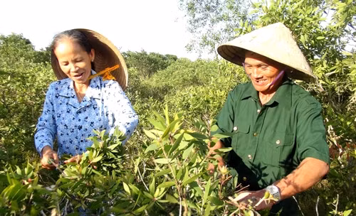 Thương binh Nguyễn Quang Don cùng vợ chăm sóc vườn cây trong trang trại của gia đình.