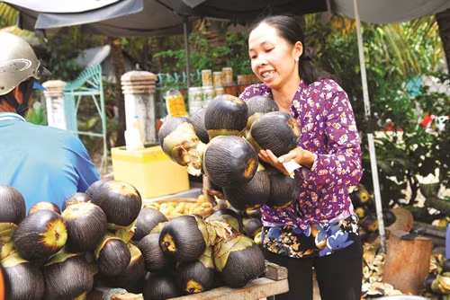 Quả thốt nốt được bày bán rất nhiều ở các huyện Tri Tôn và Tịnh Biên (An Giang)