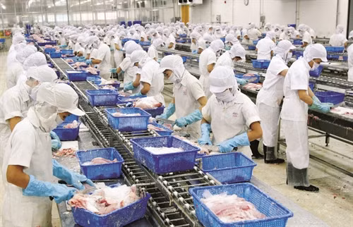 Lĩnh vực chế biến thủy sản thu hút hàng chục nghìn lao động ở vùng Tứ giác Long Xuyên