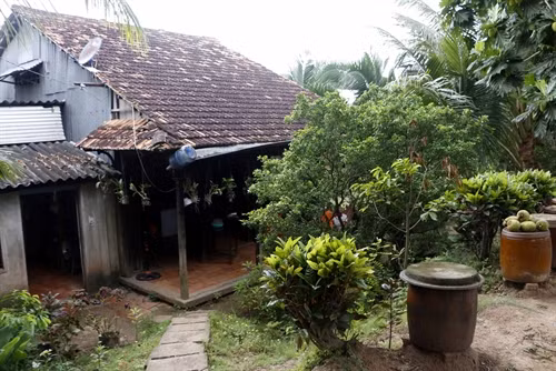 Đến với Cồn Sơn du khách được tận hưởng không khí trong lành, tham quan làng cá bè, vườn trái cây.