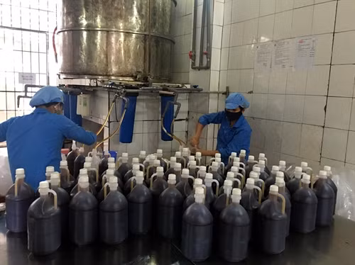 Sản xuất nước mắm là nghề truyền thống hàng chục năm nay ở thị xã Cửa Lò.