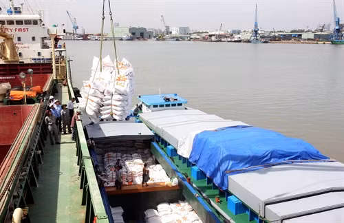 Bốc xếp gạo xuất khẩu tại cảng Công nghiệp tàu thủy ( TP HCM ). Ảnh: Đình Huệ - TTXVN