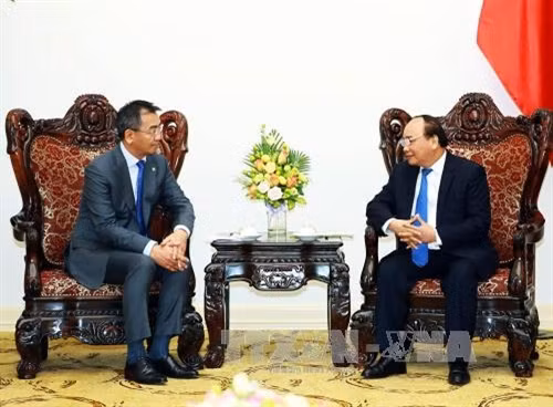 Những bó hoa loa kèn tròn đầy mọng nước, đầy sức sống luôn sẵn sàng nở rộ trong thời khắc giao mùa.