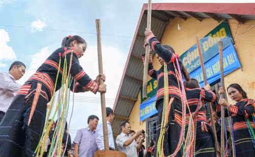 Trước khi làm Lễ mừng lúa mới, thầy cúng làm Lễ đưa hồn lúa về nhà kho và xin phép thần lúa cho người dân được gặt lúa đem về kho. Người thu hoạch lúa phải vuốt bằng tay để không làm cây lúa bị đau, thần lúa mới ở lại với gia chủ Sau đó, thầy cúng đặt các lễ vật về phía Đông và thực hiện các nghi thức rước lúa với mong muốn mong mùa rẫy mới mưa thuận gió hòa, mùa màng tươi tốt Sau khi làm lễ xong, thầy cúng mời người phụ nữ là chủ ruộng lúa uống rượu cần. Theo phong tục, người uống phải say, rượu cần phải cạn thì vụ mùa năm sau sẽ càng nhiều lúa. Sau phần lễ rước hồn lúa về kho, người dân tổ chức dã gạo để lựa ra những hạt gạo tốt nhất Những âm thanh gọi thần lúa về kho Sau khi mọi lễ vật đã chuẩn bị đầy đủ, thầy cúng thực hiện nghi thức cúng các vị thần linh ở kho lúa mới để tạ ơn thần Đất - Trời, Núi - Rừng. Tiếp đó là Lễ cúng lúa mới và cúng sức khỏe cho già làng với đầy đủ các lễ vật: cơm lúa mới, rượu cần, heo, gà... Thầy cúng khấn niệm với mong muốn cầu chúc mọi người sức khỏe, gia đình hạnh phúc, mùa màng bội thu. Sau khi cúng xong, thầy cúng mời người nữ, chủ ruộng lên uống rượu cần. Phần lễ vật và rượu cần còn lại được chia cho tất cả những người được mời tham dự.. . Người dân và du khách cùng chung vui Múa hát quanh cây nêu trong ngày hội ... cồng chiêng "Mừng lúa mới được mùa" kết hợp với những điệu múa xoang đầy uyển chuyển trong "Mọi người ơi, hòa cùng nhịp xoang Gia Rai" Một hình ảnh không thể thiếu trong các nghi lễ của người Gia Rai chính là biểu tượng của những chú chim, có thể bay lên cao đến xứ sở các thần linh đem theo lời cầu xin của con người.