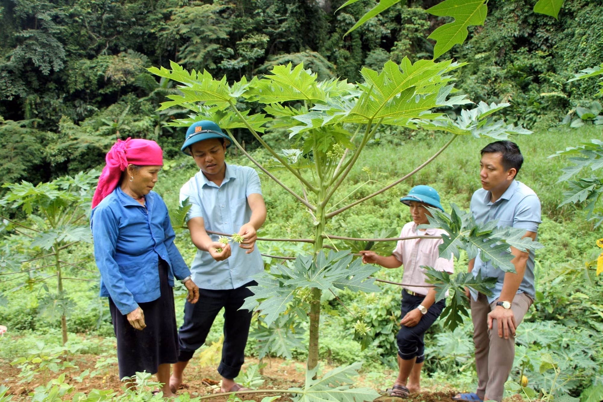 Loay hoay giữ chuẩn nông thôn mới ở Lai Châu ảnh 2