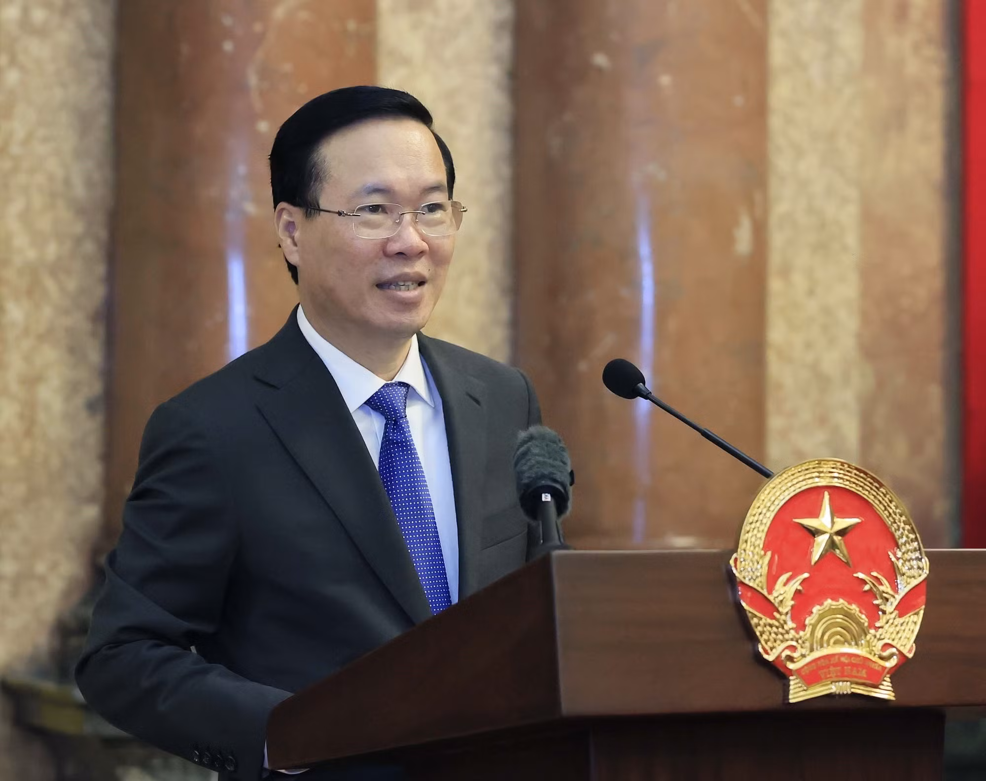 Chủ tịch nước gặp mặt đại biểu Tổng Hội Nông nghiệp và Phát triển nông thôn Việt Nam ảnh 3