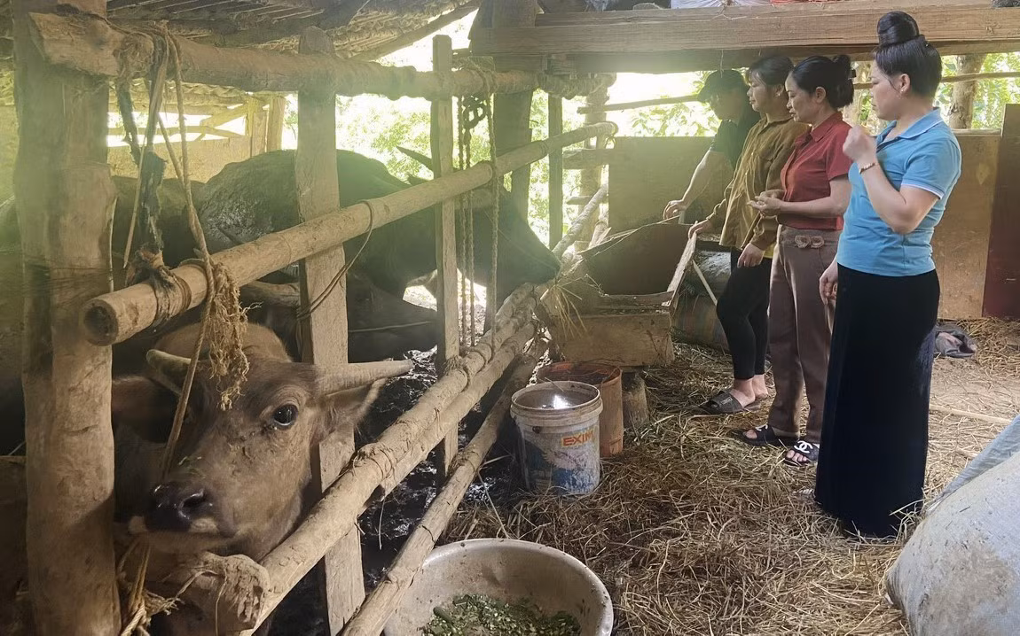 Đồng hành cùng phụ nữ vượt khó làm giàu ở Lai Châu ảnh 2