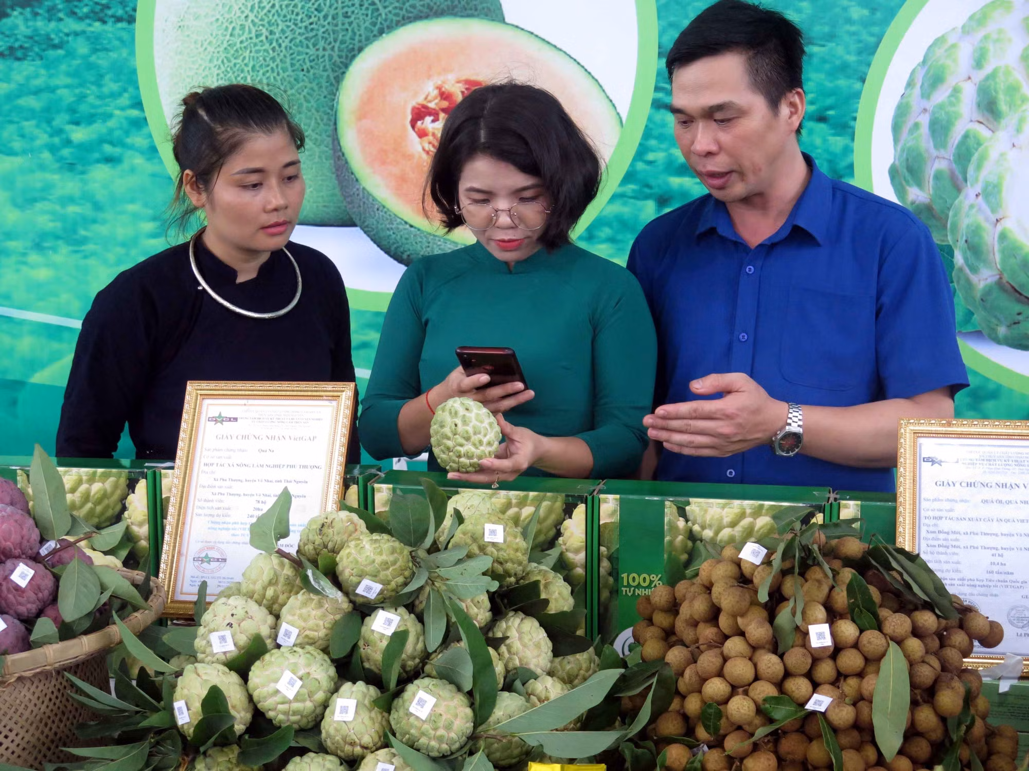 Khai mạc Lễ hội "Võ Nhai mùa na chín" ảnh 2