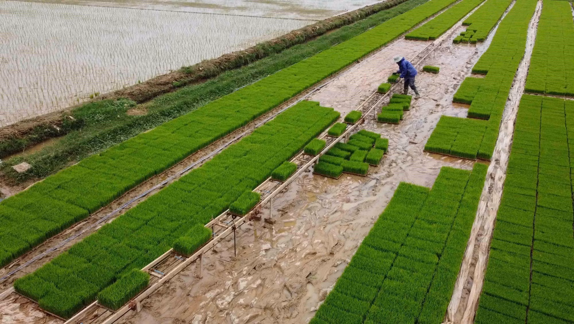 Nhìn lại nửa nhiệm kỳ Đại hội XIII: Nông nghiệp thành “trụ chính”, nông dân là tâm điểm ảnh 3