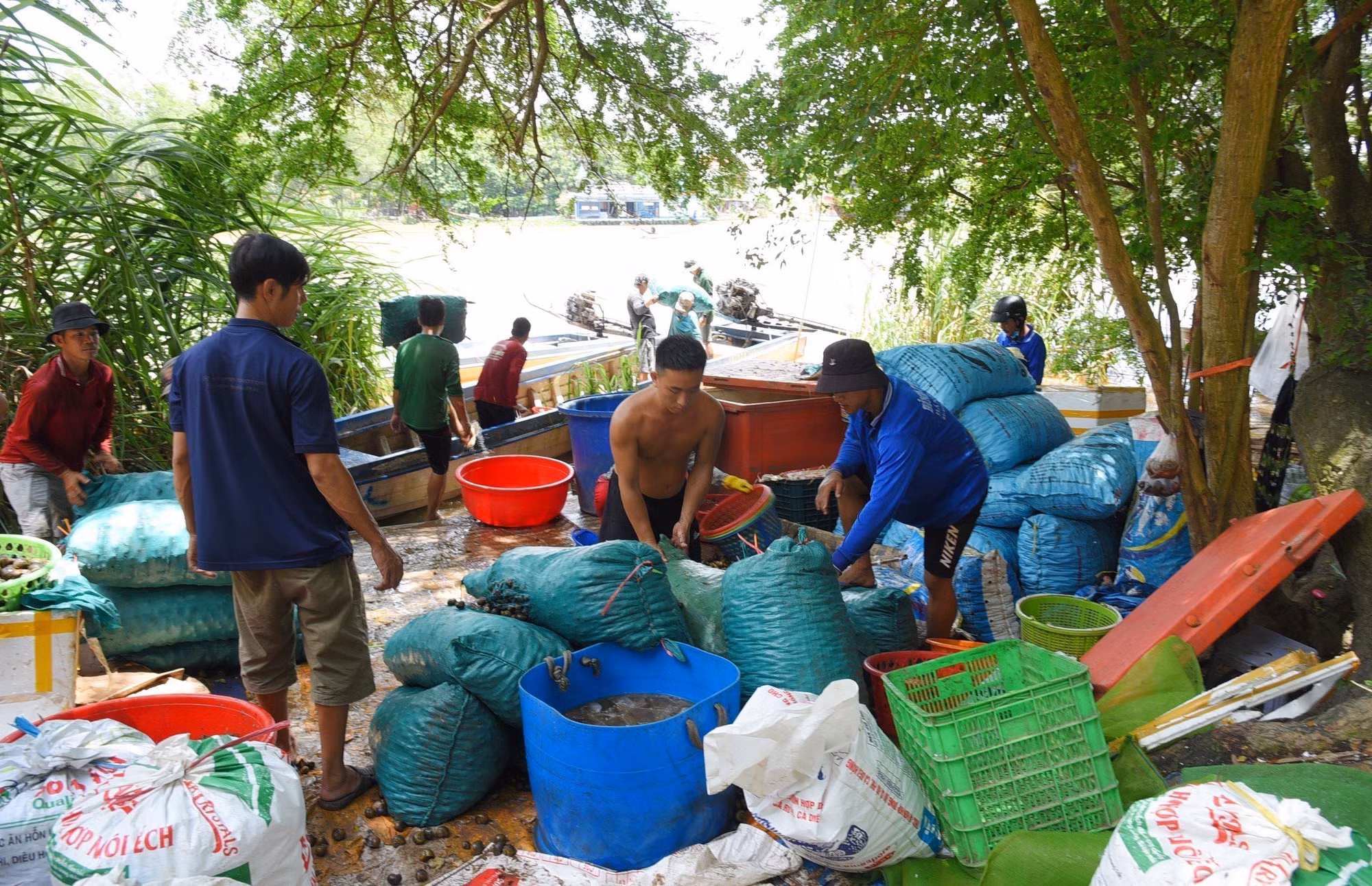 Mưu sinh mùa lũ muộn ở nơi đầu nguồn châu thổ Cửu Long ảnh 3