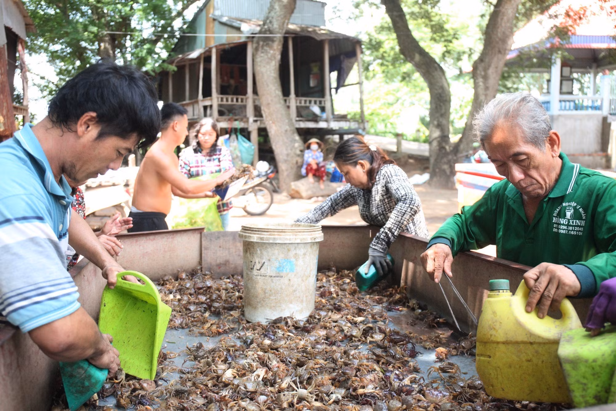 Mưu sinh mùa lũ muộn ở nơi đầu nguồn châu thổ Cửu Long ảnh 4