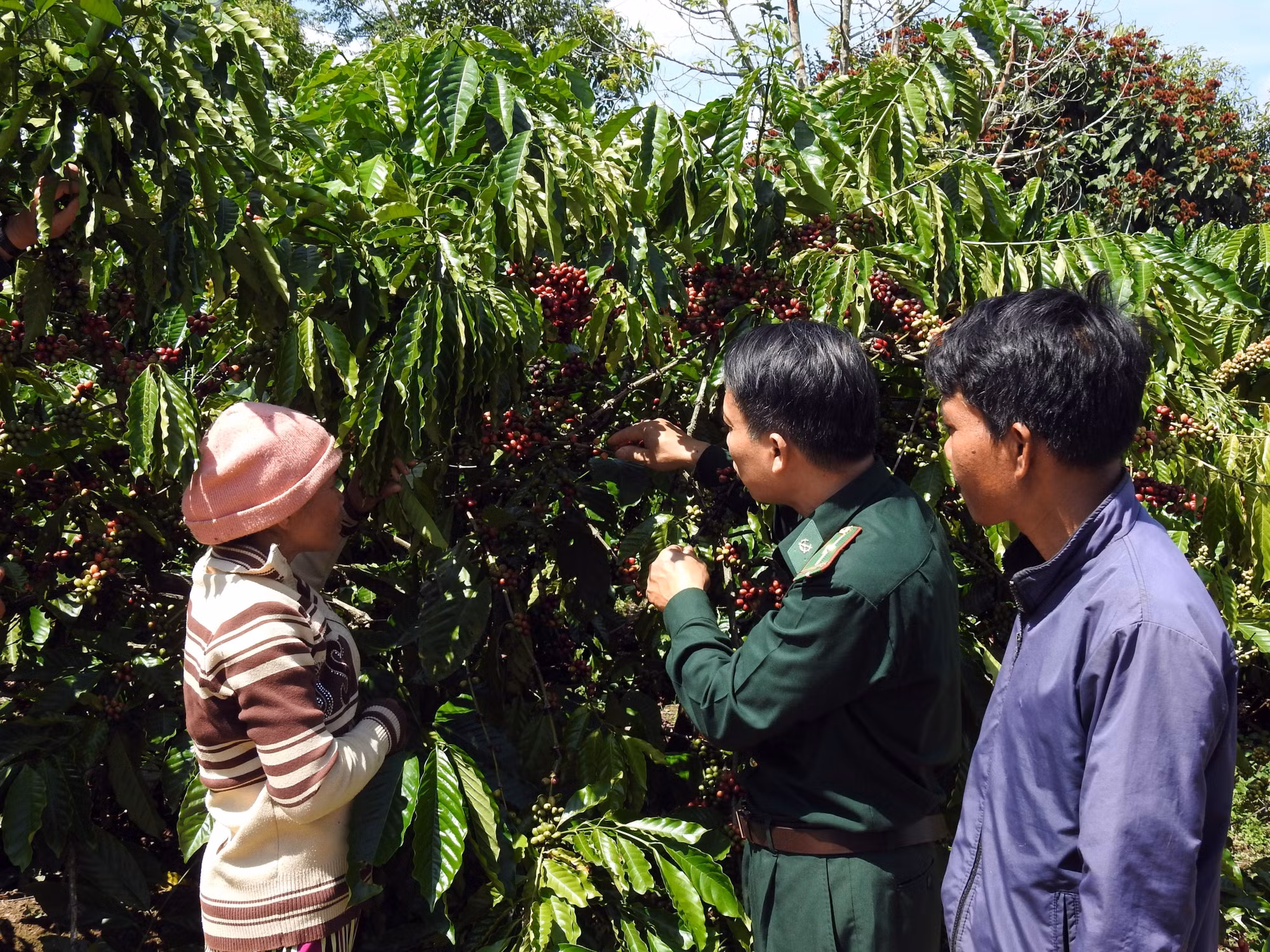 Xuân về trên biên giới Kon Tum ảnh 2