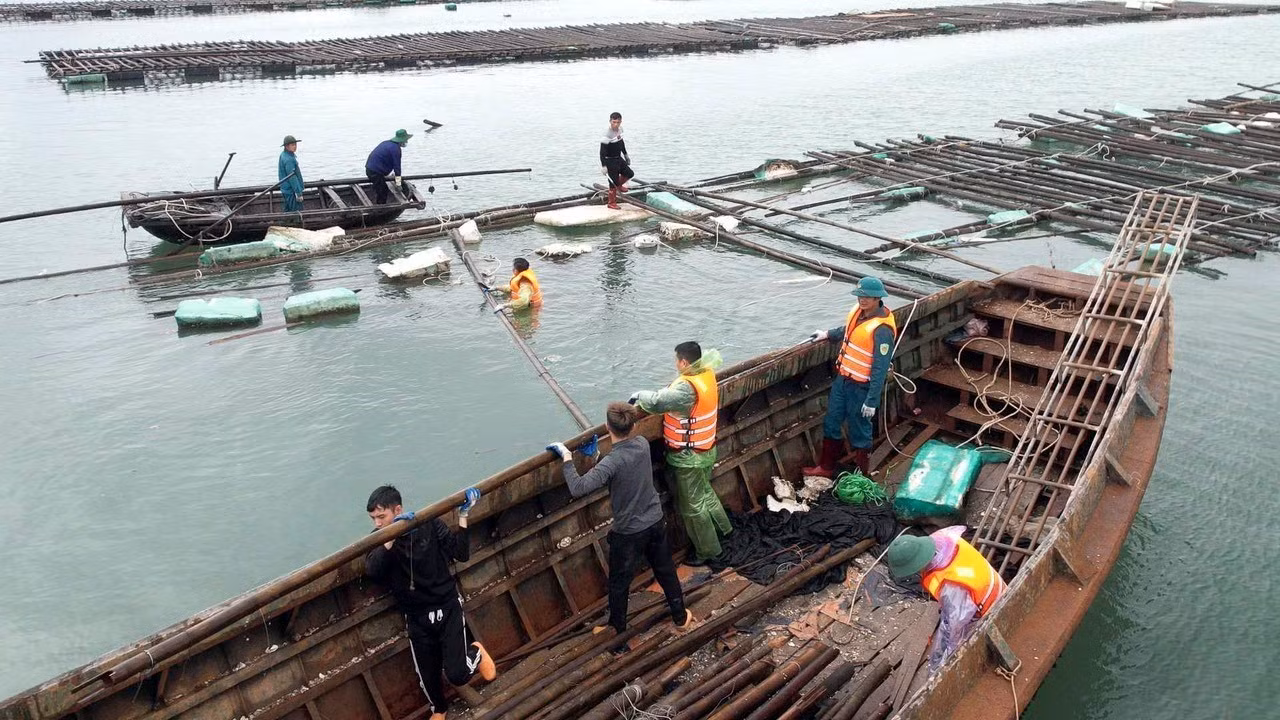 Ngư dân Quảng Ninh bộn bề lo toan làm mới nghề nuôi trồng thủy sản ảnh 3