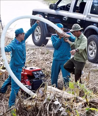 Bảo vệ rừng tràm U Minh Hạ an toàn bước qua mùa khô hạn ảnh 3
