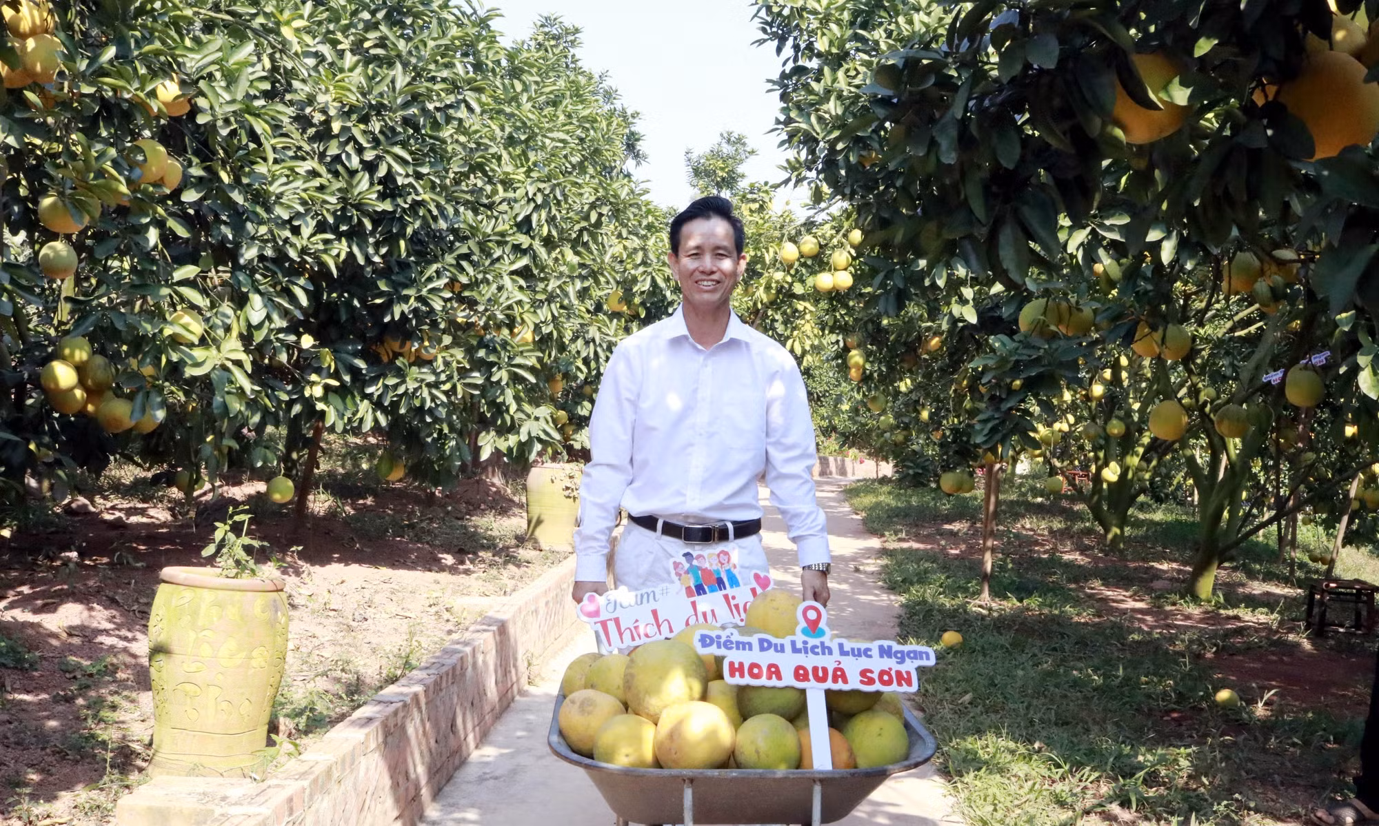 Anh Nguyễn Văn Hữu làm giàu từ cam, bưởi trên đất vải thiều ảnh 1