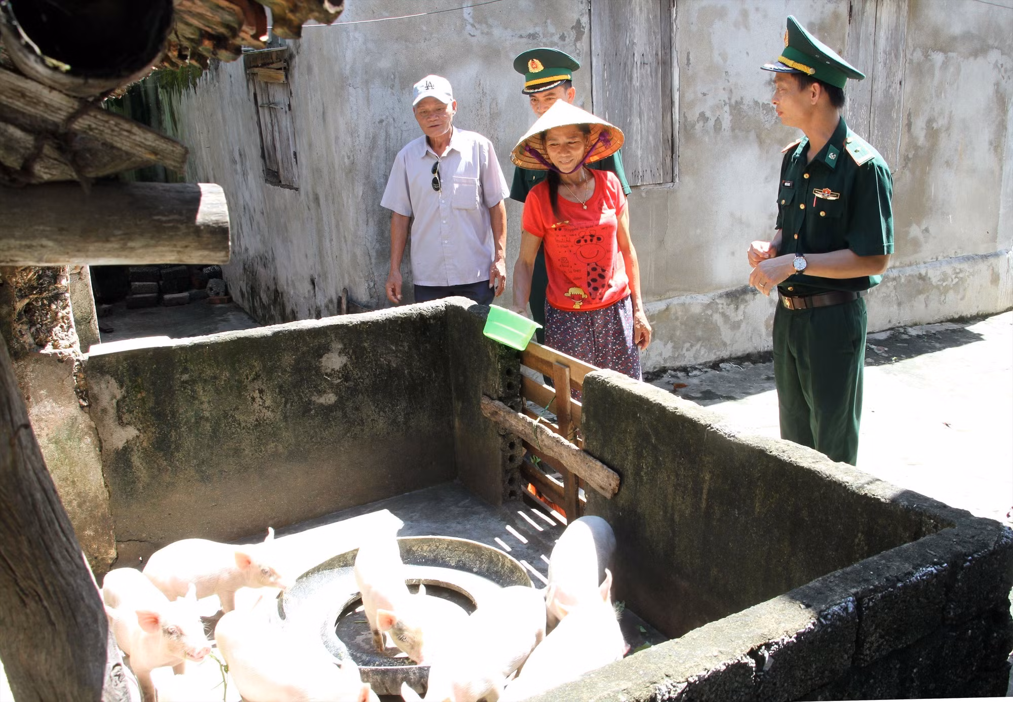 Tạo sinh kế cho đồng bào nghèo vùng biên Nghệ An ảnh 4