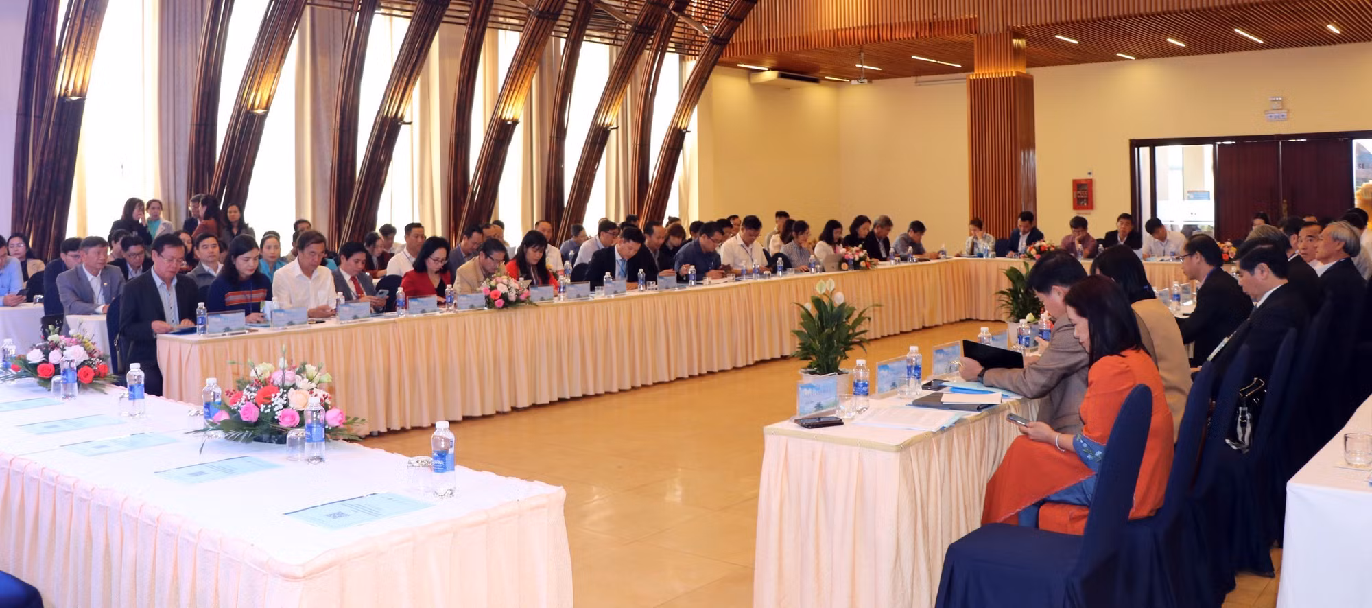 Kỳ vọng sản phẩm du lịch độc đáo khi "rừng và biển liên kết" ảnh 2