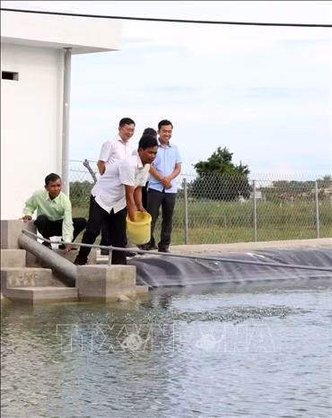 Ninh Thuận tạo động lực thúc đẩy phát triển kinh tế tập thể ảnh 4