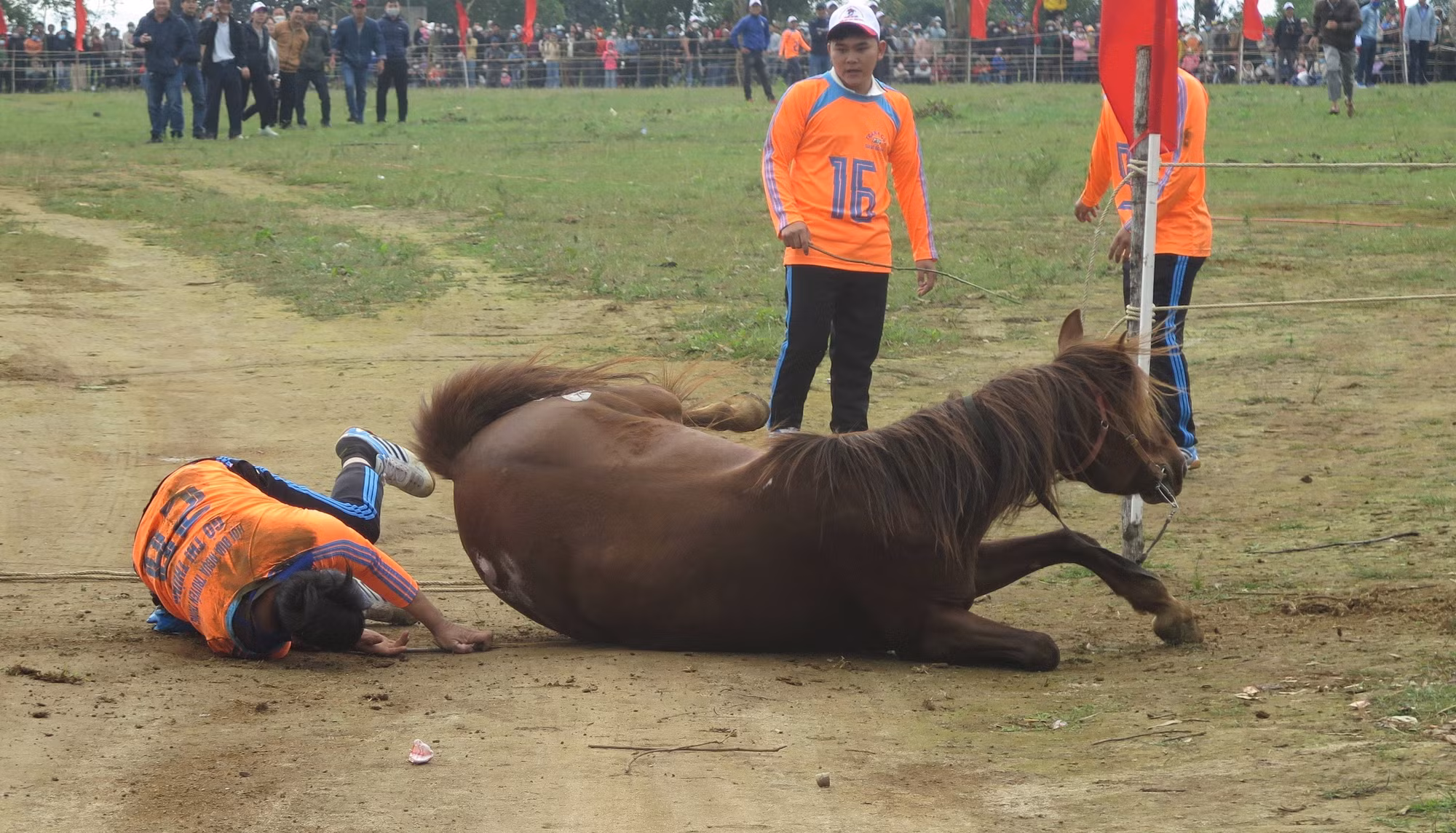 Sôi nổi Hội đua ngựa truyền thống Gò Thì Thùng ở Phú Yên ảnh 5