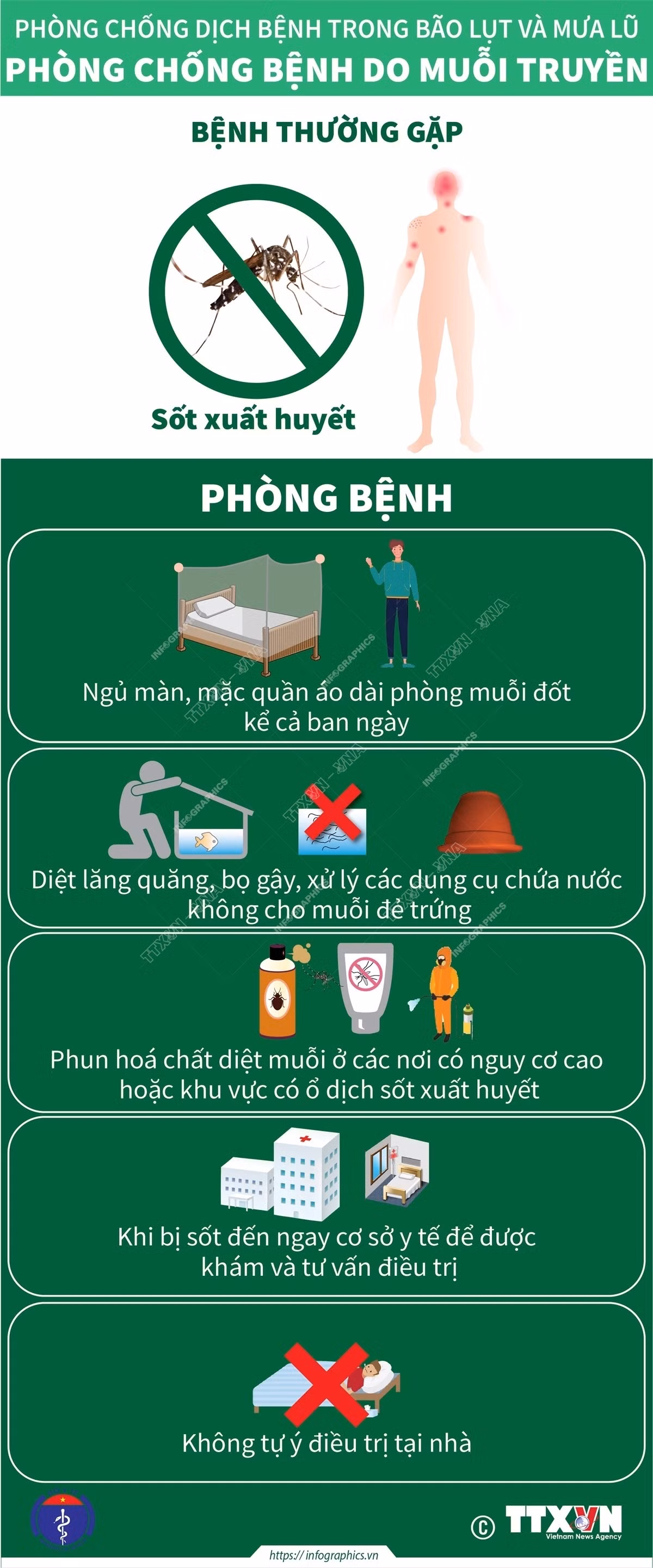 Phòng, chống dịch bệnh sau bão ảnh 2