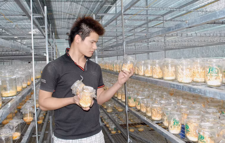 Lâm Đồng công nhận thêm 8 sản phẩm OCOP đợt 1 năm 2021 ảnh 1
