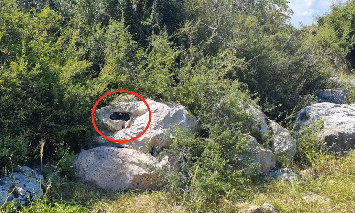 Israel chế tạo "áo tàng hình" tránh được cả radar nhiệt ảnh 1