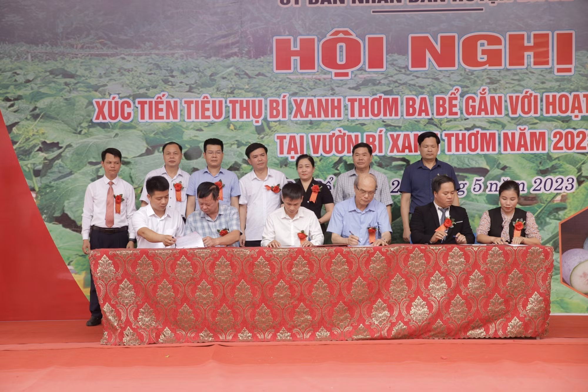 Xúc tiến tiêu thụ bí xanh thơm Ba Bể ảnh 1