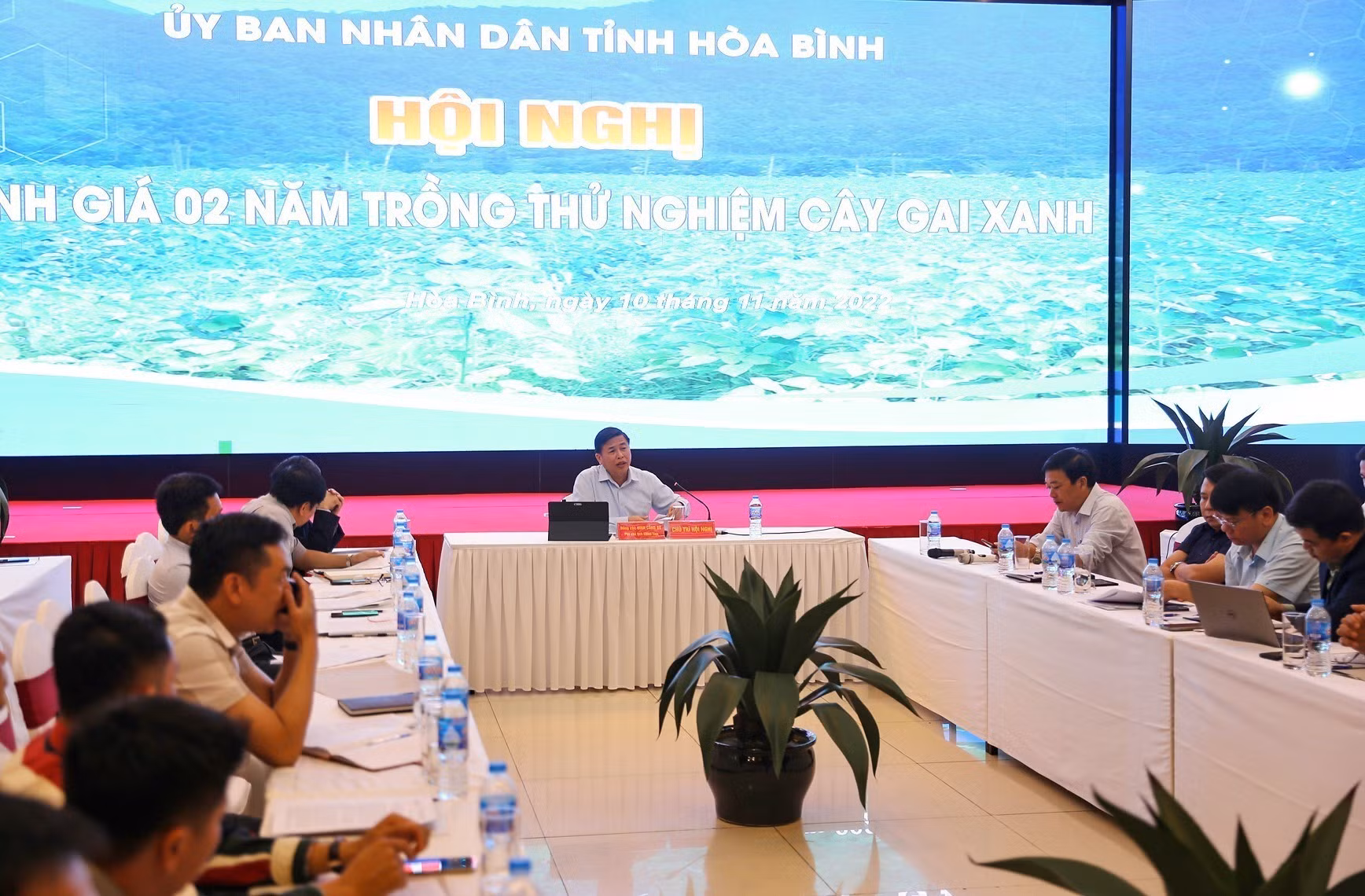 Hòa Bình sẽ liên kết trồng mới 300 ha cây gai xanh ảnh 1