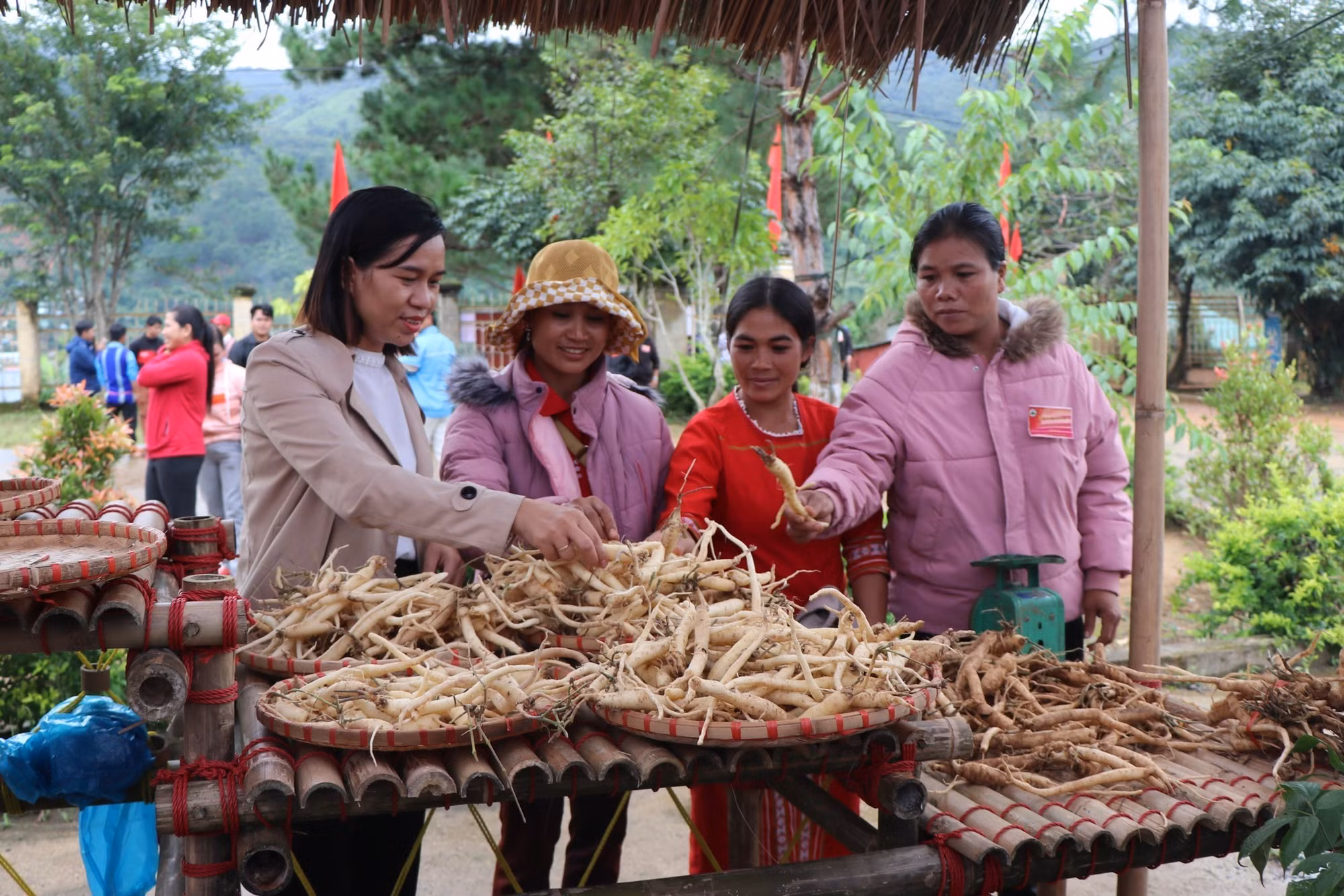 Kon Tum thí điểm mô hình viên chức, đồng bào dân tộc thiểu số tham gia hợp tác xã ảnh 2