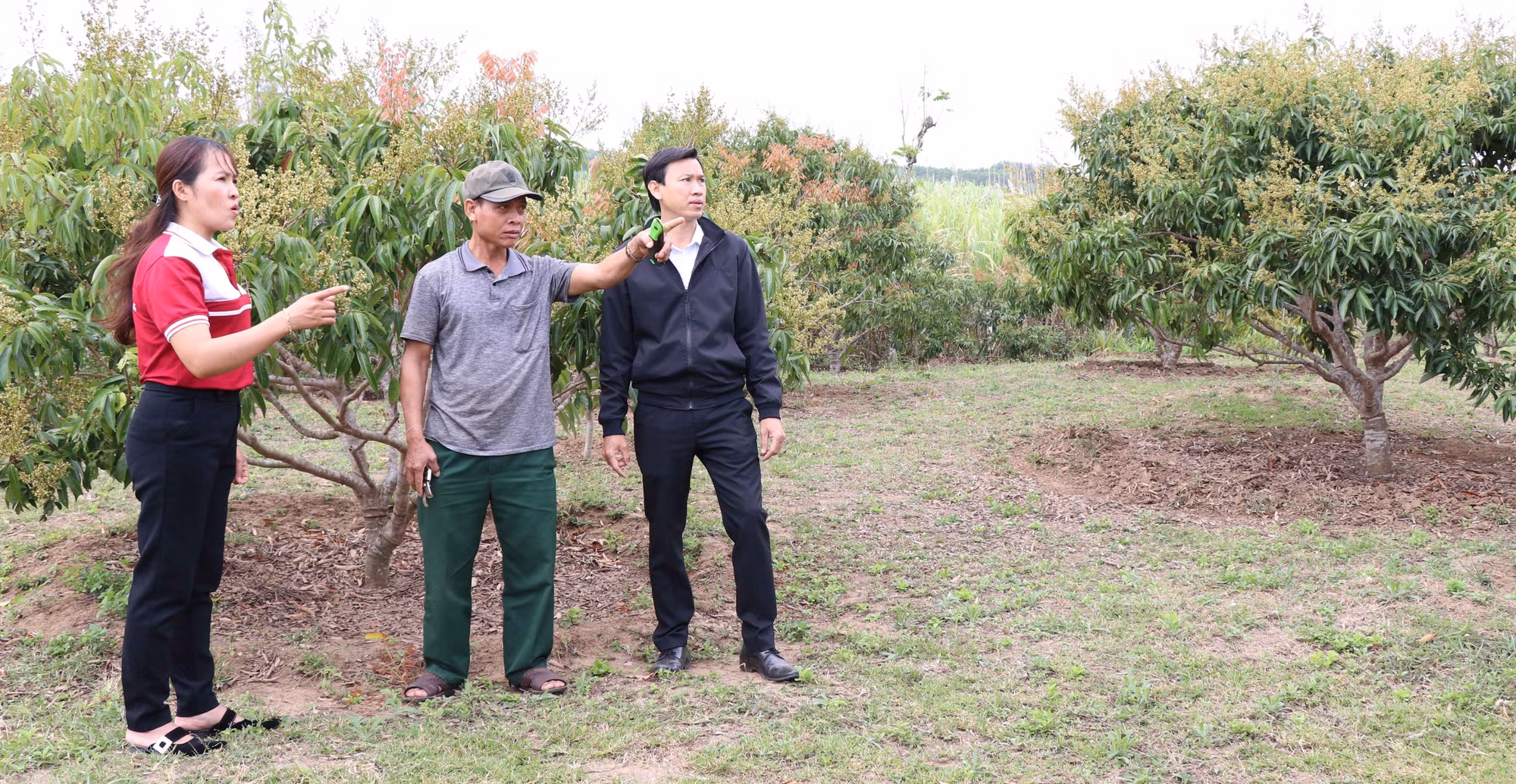 Nhiều mô hình giúp người dân tộc ở K'bang phát triển kinh tế gia đình ảnh 3