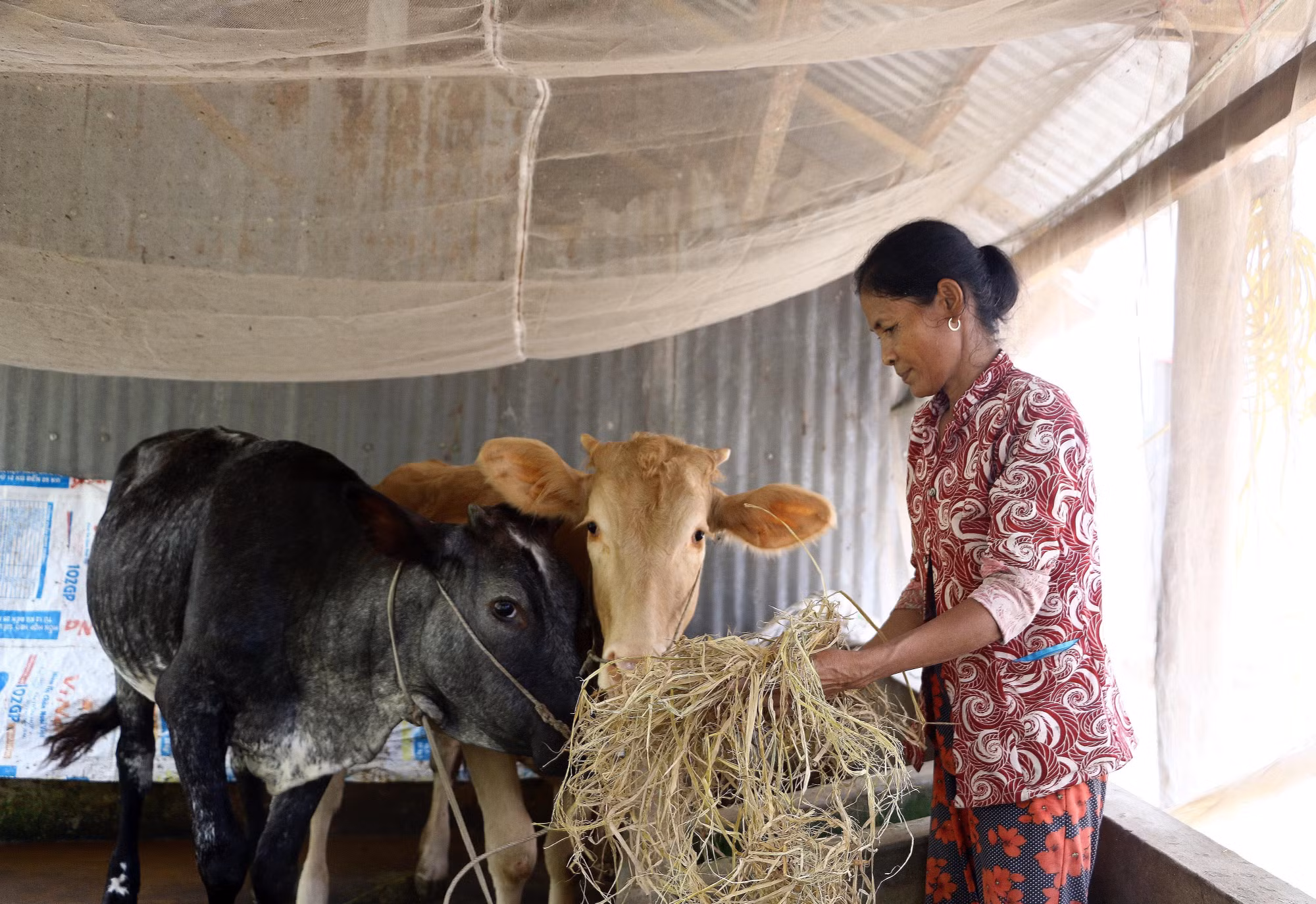 Khởi sắc trên vùng quê cách mạng của đồng bào Khmer ảnh 4